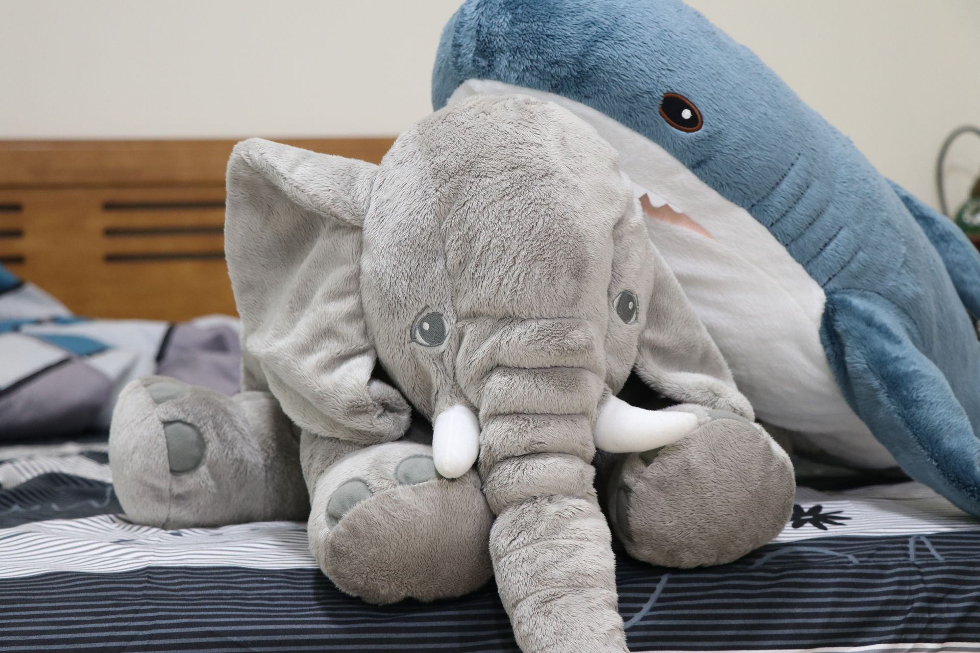 Limpeza de peluches